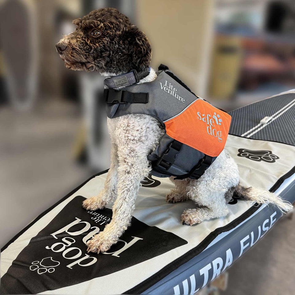 SafeDog dog life jacket